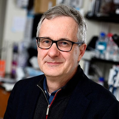 Headshot of Denis Wirtz. He has short salt and pepper hair and light skin tone. He is wearing black square framed glasses, a black quarter zip pull over and a blue button down dress shirt. In the background is a laboratory.