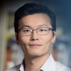 Headshot of Sean Sun. He has short black hair, dark, almond-shaped brown eyes, and light skinned. He is wearing a white dress shirt with a checkered patter and black square frame glasses.