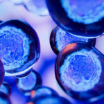 Three-dimensional creative image of embryonic stem cells in various shades of blue, purple, and white.