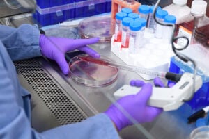 Johns Hopkins Engineering Design Day @ Johns Hopkins Homewood Campus