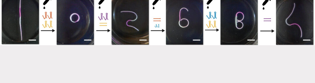 A series of photos that show gel automata shaped in numbers 0 through 9