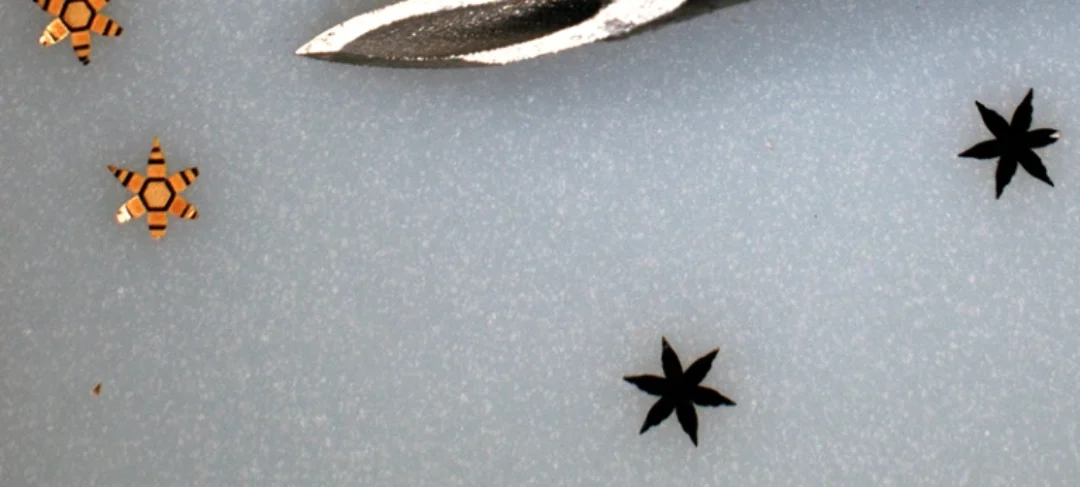 Zoomed in photo of metal six metal grippers shaped liked stars next to 18 gauge need for scale reference.